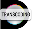 transcoding