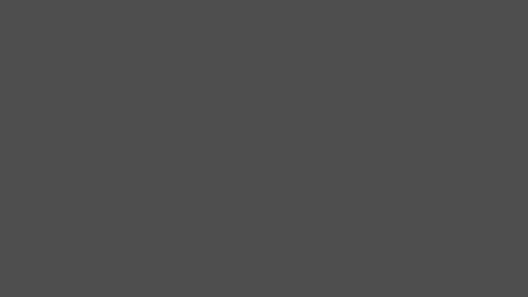 Gray 25pc