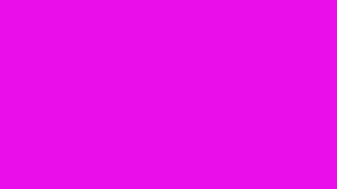 Magenta 100pc