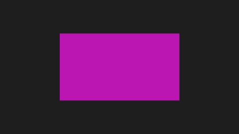 Magenta Window 2020