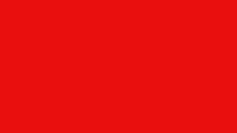 Red 100pc