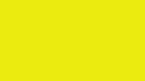 Yellow 100pc