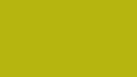 Yellow 75pc