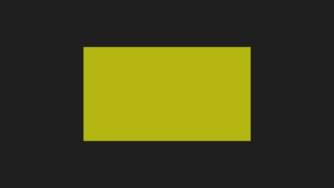 Yellow Window 2020