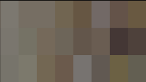 HDR Point Pantone Skin Tones Color