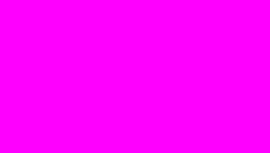 Magenta 100pc