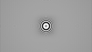 Zone Plate Y