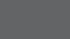 Gray 25pc
